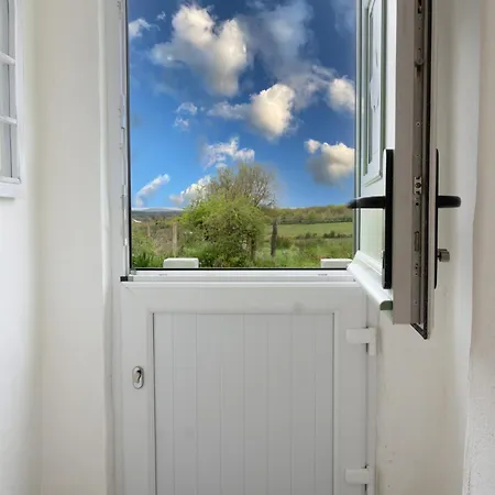 Teachin Milis Moineir Boyle