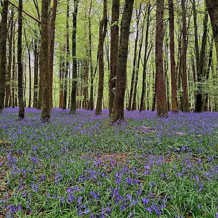 Ferienhaus Teachin Milis Moineir Boyle