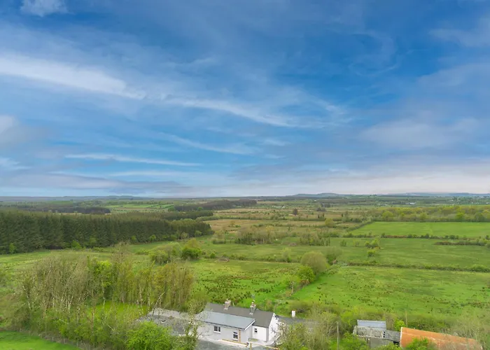 Teachiń Milis Móinéir