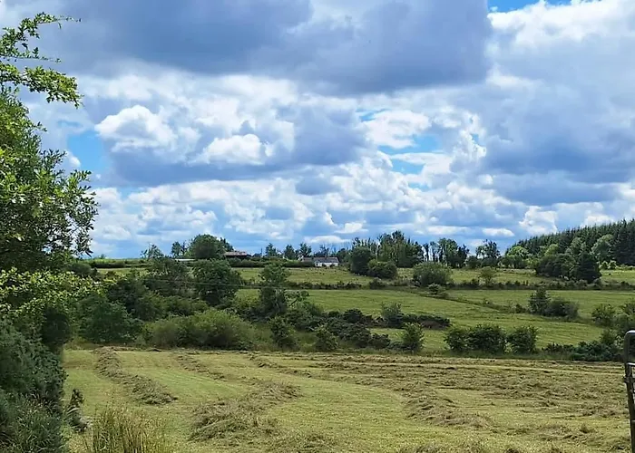 Teachiń Milis Móinéir * Boyle