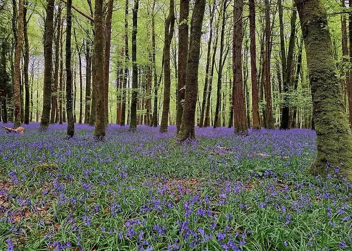 Casa vacanze Teachiń Milis Móinéir Boyle